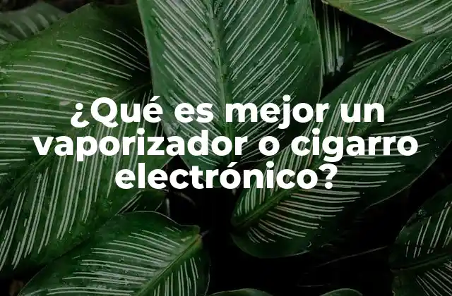 ¿qué es Mejor un Vaporizador o Cigarro Electrónico?