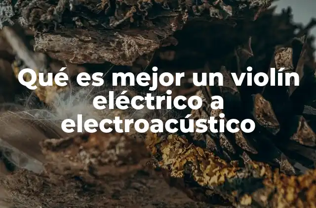 Qué es Mejor un Violín Eléctrico a Electroacústico