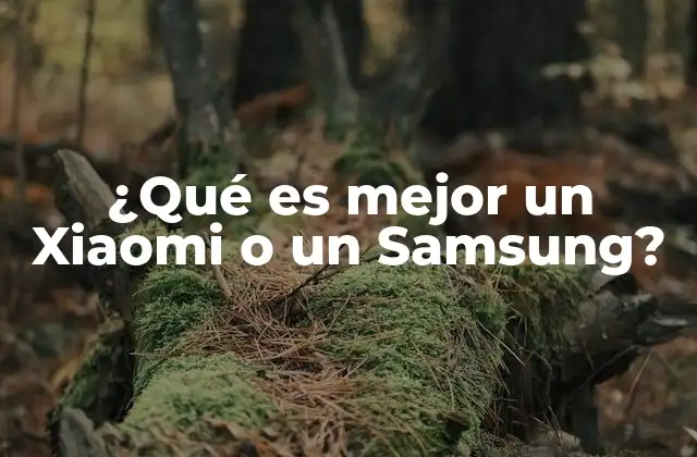 ¿qué es Mejor un Xiaomi o un Samsung?