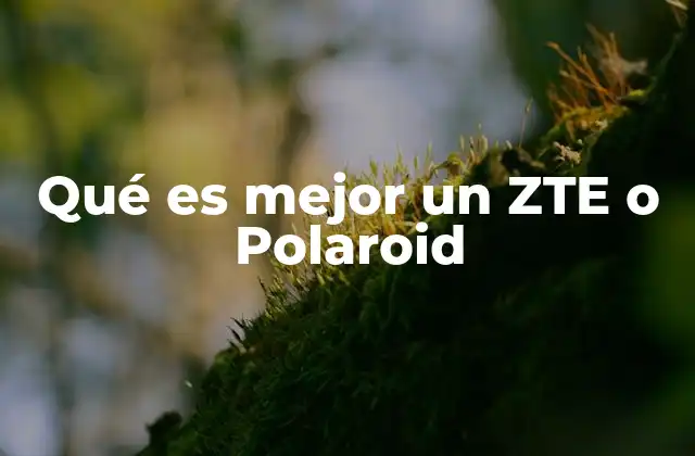 Qué es Mejor un Zte o Polaroid