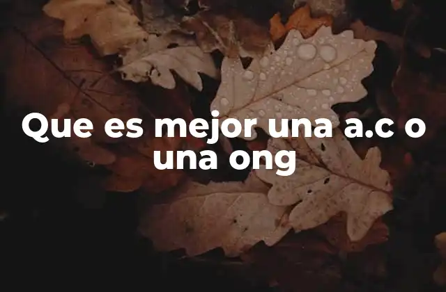 Que es Mejor una A.c o una Ong