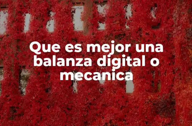 Que es Mejor una Balanza Digital o Mecanica