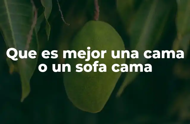 Que es Mejor una Cama o un Sofa Cama