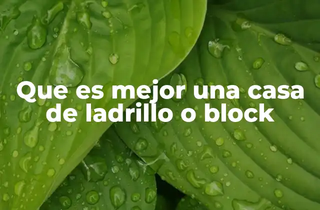 Que es Mejor una Casa de Ladrillo o Block