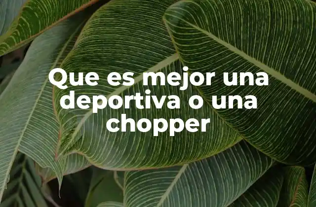 Que es Mejor una Deportiva o una Chopper