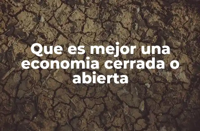 Que es Mejor una Economia Cerrada o Abierta