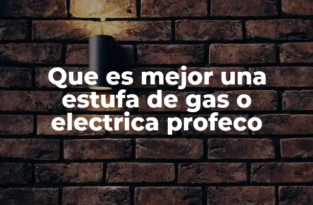 Que es Mejor una Estufa de Gas o Electrica Profeco