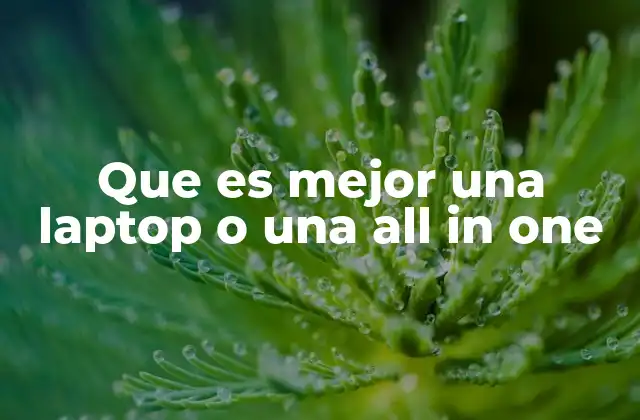 Que es Mejor una Laptop o una All In One