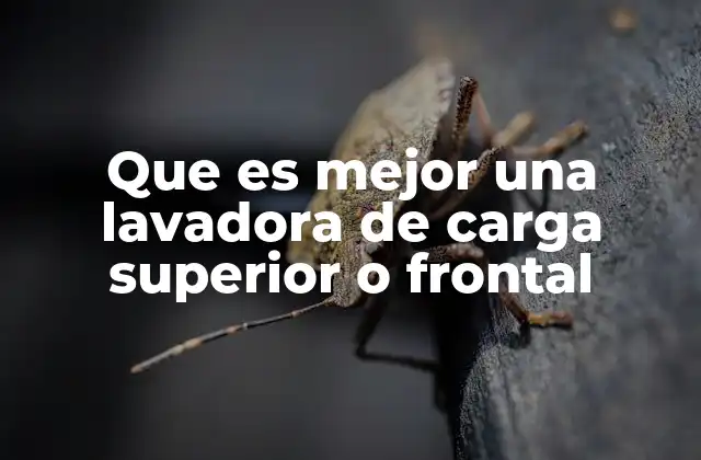 Que es Mejor una Lavadora de Carga Superior o Frontal