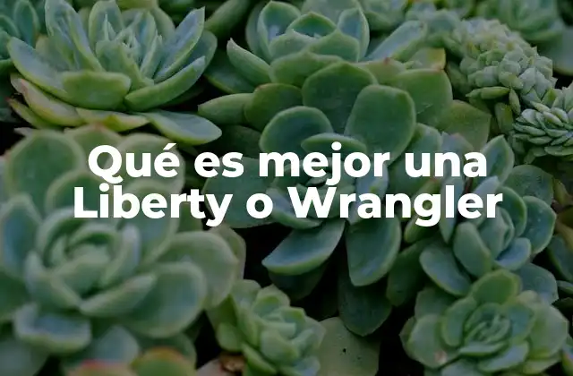 Pantalones vaqueros: ¿Liberty o Wrangler?