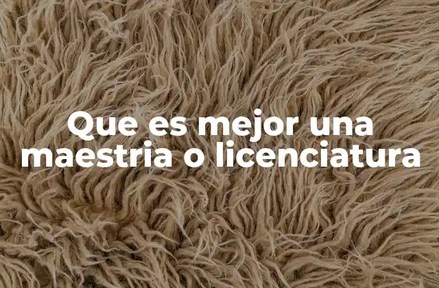 La formación universitaria: una base para el futuro profesional