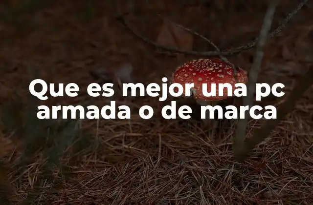 Que es Mejor una Pc Armada o de Marca