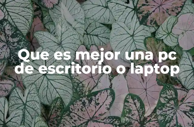 Que es Mejor una Pc de Escritorio o Laptop