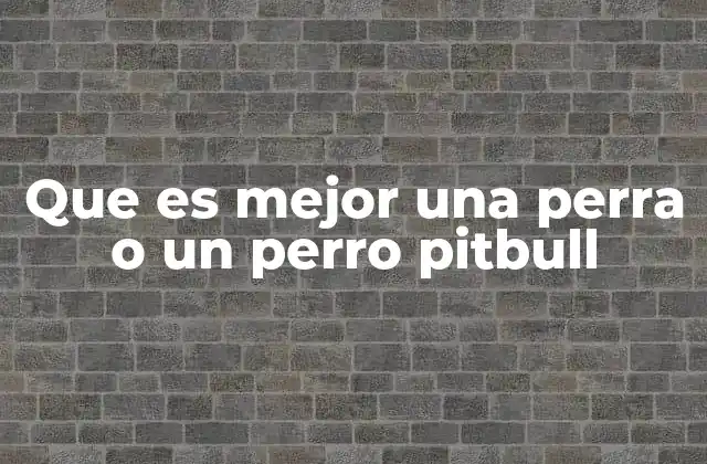Que es Mejor una Perra o un Perro Pitbull