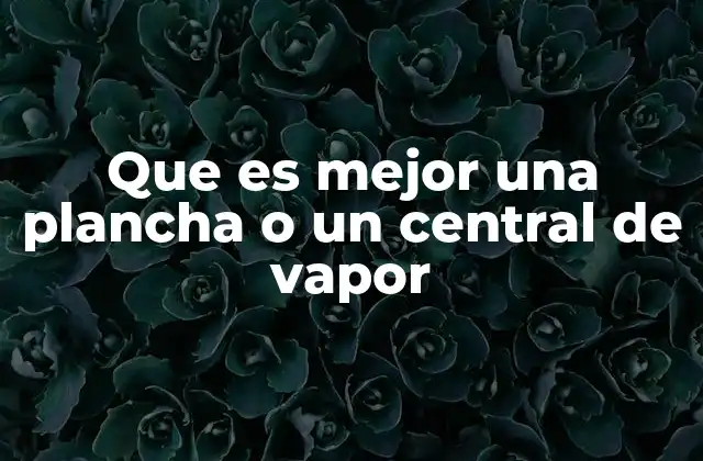 Que es Mejor una Plancha o un Central de Vapor