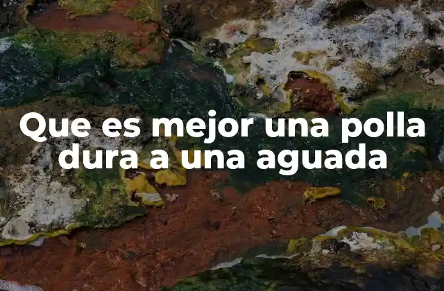 Que es Mejor una Polla Dura a una Aguada