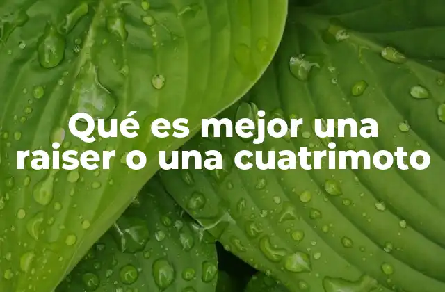 Qué es Mejor una Raiser o una Cuatrimoto