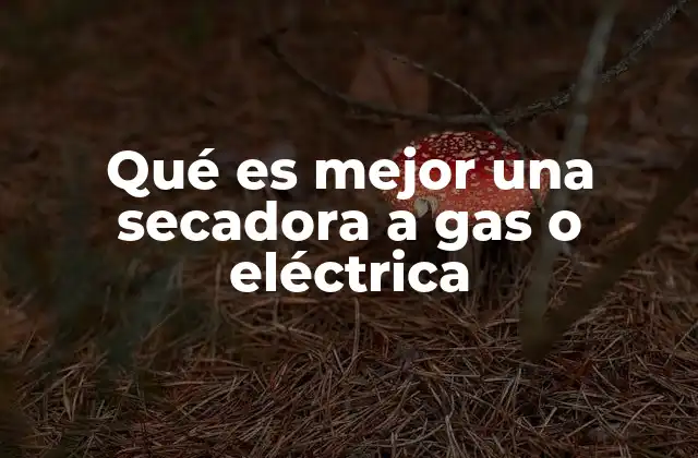 Qué es Mejor una Secadora a Gas o Eléctrica