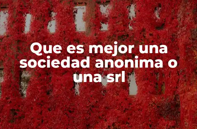 Que es Mejor una Sociedad Anonima o una Srl