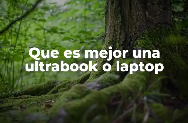 Diferencias entre dispositivos ultraligeros y laptops estándar