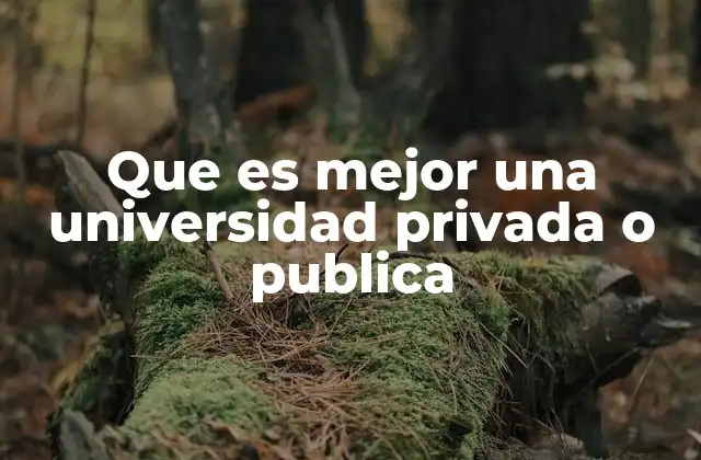 Que es Mejor una Universidad Privada o Publica