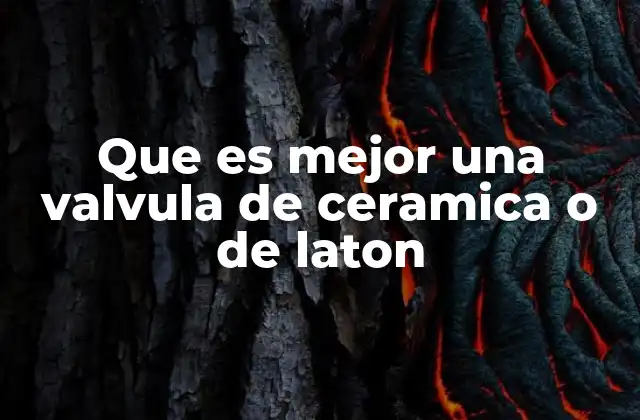 Que es Mejor una Valvula de Ceramica o de Laton