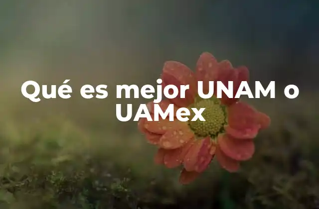 Qué es Mejor Unam o Uamex