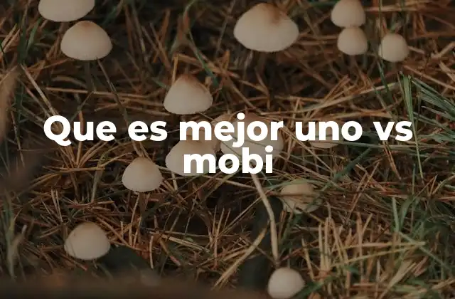 Que es Mejor Uno Vs Mobi