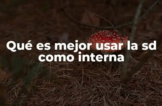 Qué es Mejor Usar la Sd como Interna