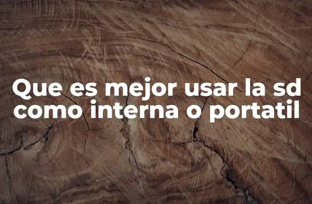 Que es Mejor Usar la Sd como Interna o Portatil