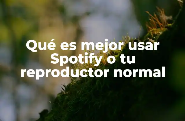 Qué es Mejor Usar Spotify o Tu Reproductor Normal