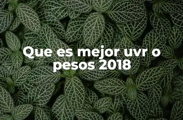 Que es Mejor Uvr o Pesos 2018