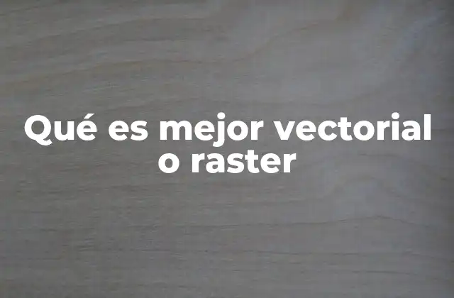 Qué es Mejor Vectorial o Raster