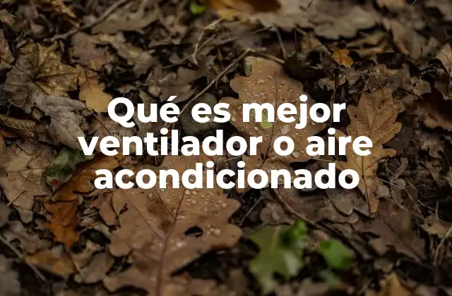 Qué es Mejor Ventilador o Aire Acondicionado