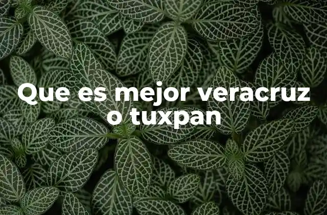 Que es Mejor Veracruz o Tuxpan