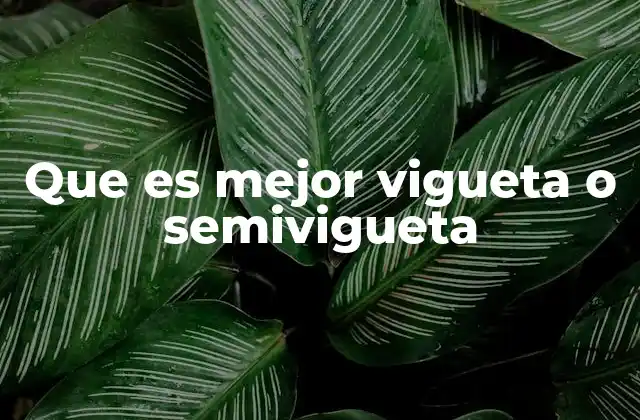 Que es Mejor Vigueta o Semivigueta