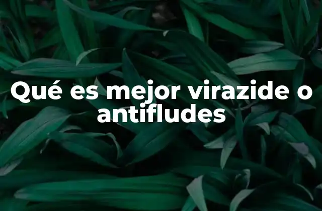 Diferencias clave entre Virazide y Antifludes