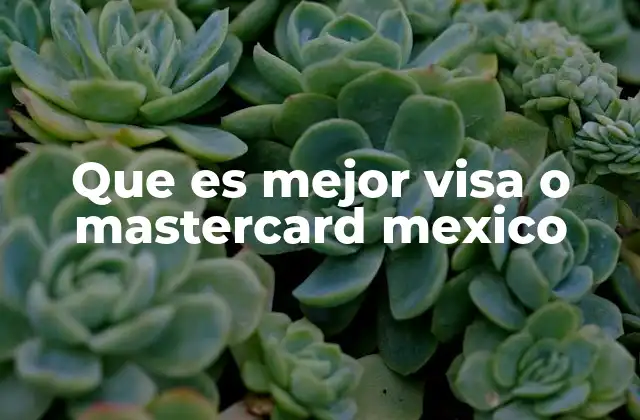 Que es Mejor Visa o Mastercard Mexico