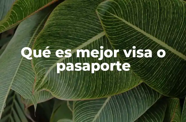 Qué es Mejor Visa o Pasaporte