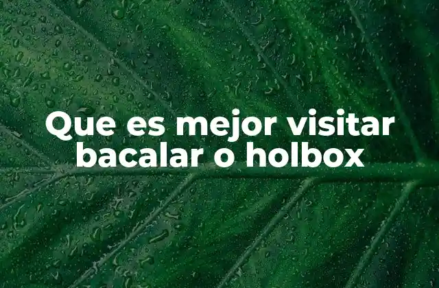 Que es Mejor Visitar Bacalar o Holbox