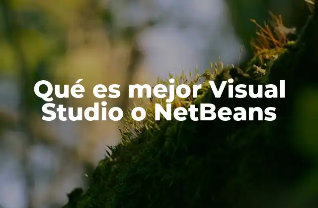 Qué es Mejor Visual Studio o Netbeans
