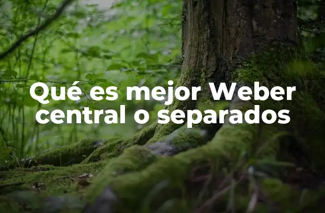 Qué es Mejor Weber Central o Separados