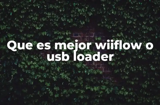 Que es Mejor Wiiflow o Usb Loader