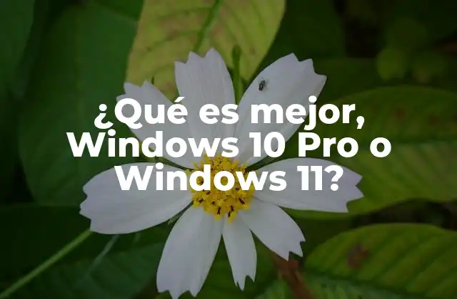 ¿qué es Mejor, Windows 10 Pro o Windows 11?