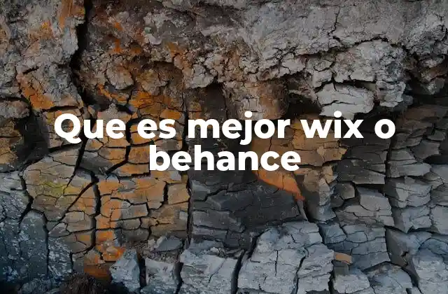 Que es Mejor Wix o Behance 2 Diferencias clave entre Wix y Behance