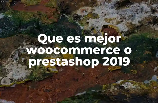 Que es Mejor Woocommerce o Prestashop 2019 2 Ventajas y desafíos de los sistemas de comercio electrónico en 2019