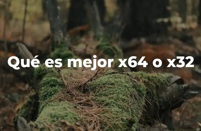 Cómo afecta la arquitectura del procesador a la elección entre x64 y x32