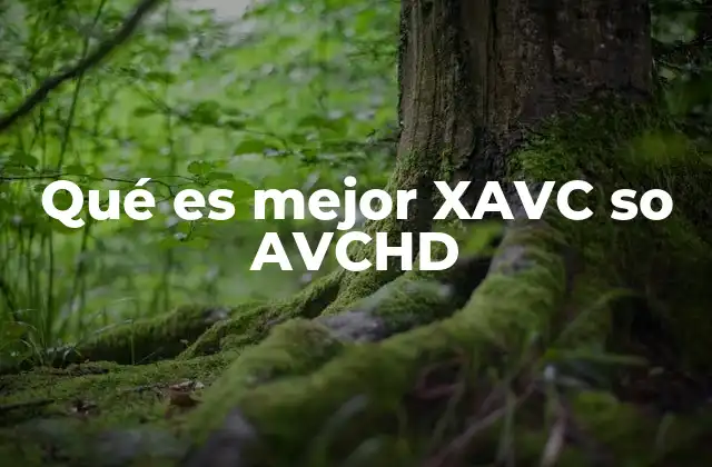 Qué es Mejor Xavc so Avchd