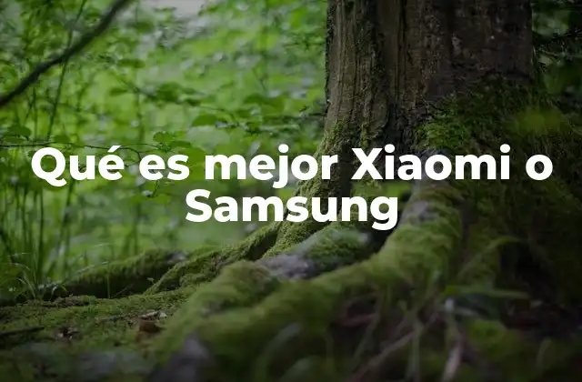 Qué es Mejor Xiaomi o Samsung
