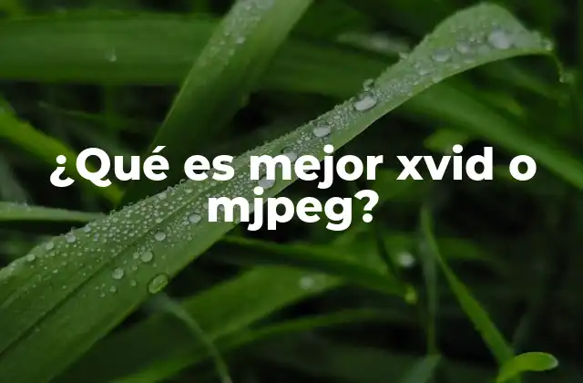 ¿qué es Mejor Xvid o Mjpeg?